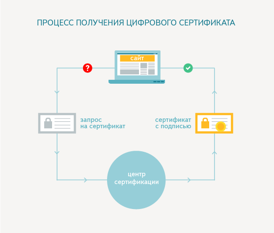 процесс получения цифрового сертификата